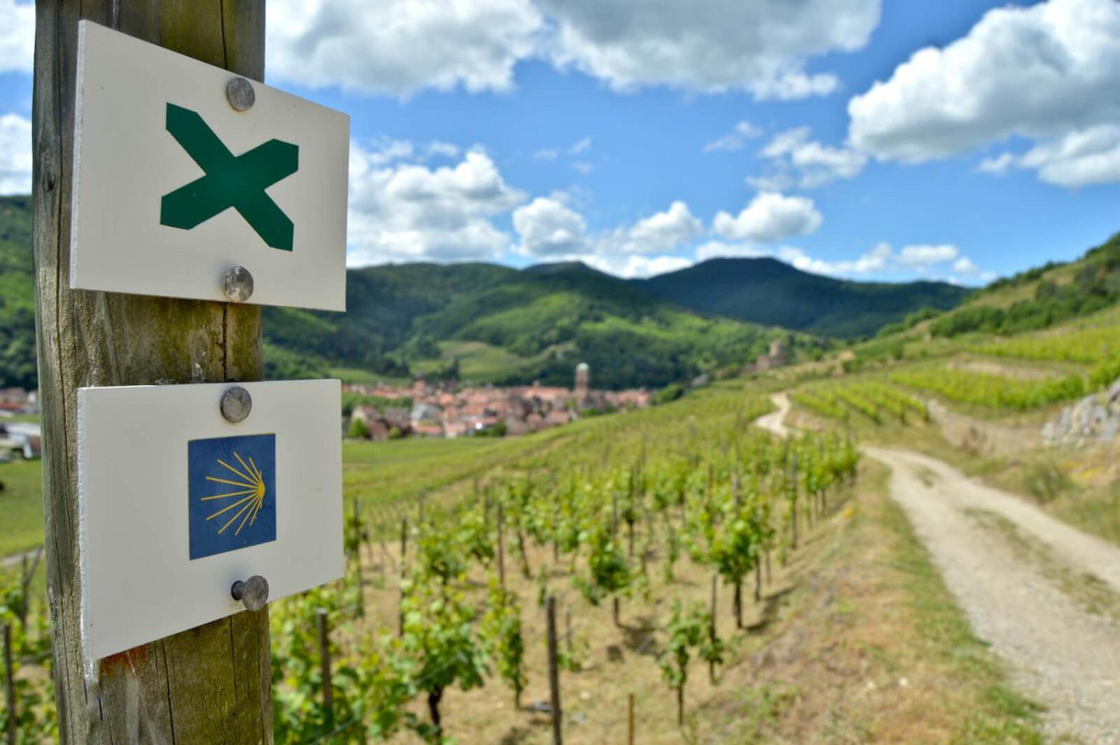 Naova Cosy Studio Kaysersberg-Vignoble Exterior foto