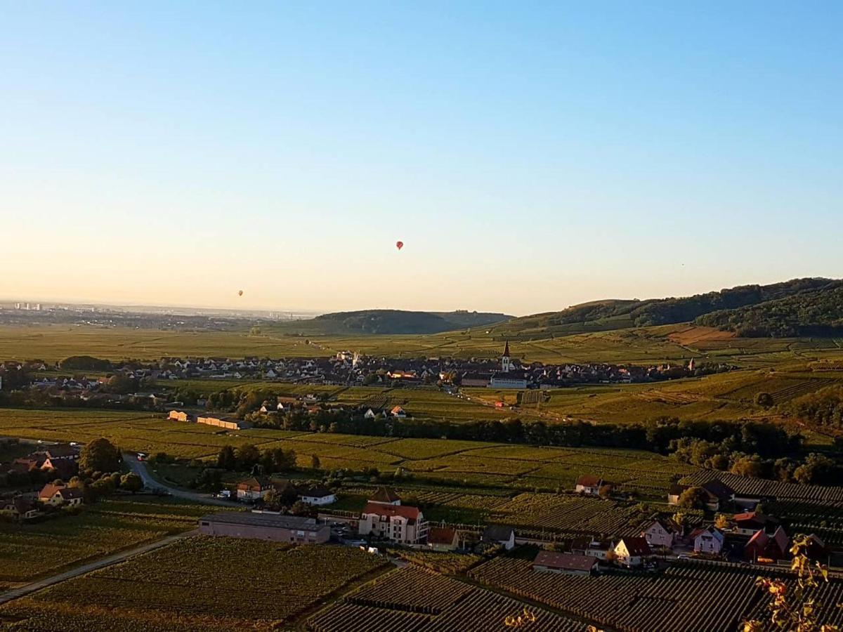 Naova Cosy Studio Kaysersberg-Vignoble Exterior foto